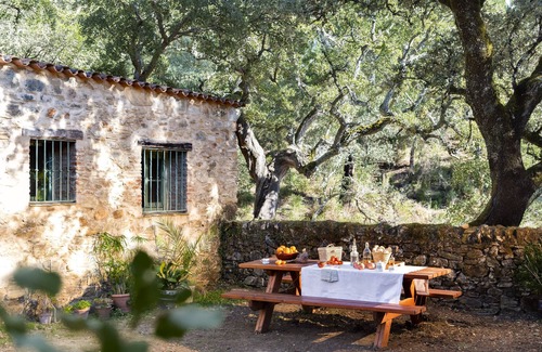 Jabugo Cottage | Cosy forest house to disconected & meet nature