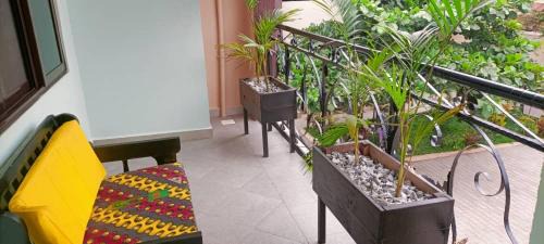Gulu Apartment | Cosy Living