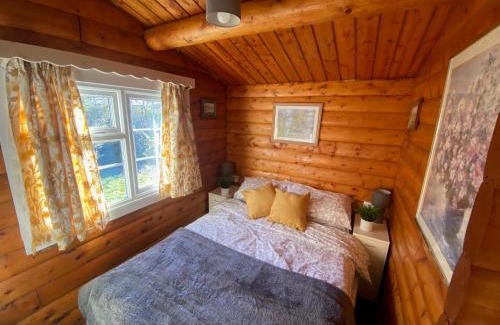 Bronaber House | Cosy Log Cabin Snowdonia Eryri