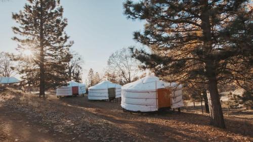 Dunlap House | Cosy yurt at a nature retreat in CA