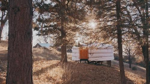 Dunlap House | Cosy yurt at a nature retreat in CA