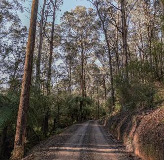 Healesville House | Cottage at Tall Trees