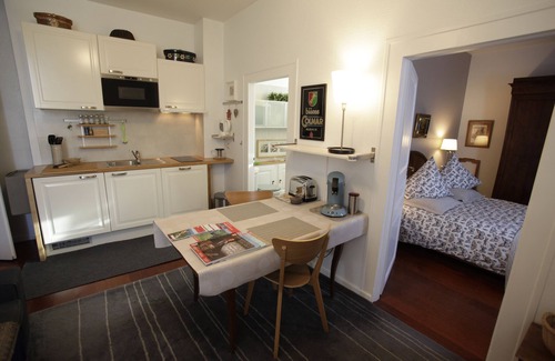 Colmar Centre Ville Apartment | Cottage in the heart of the Alsatian vineyard