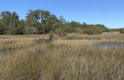 Johns Island Cottage | Cottage in the Trees