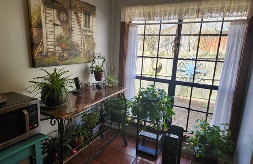 Millington Cottage | Cottage in the Woods, Safe area, on 6 acres, Free Parking.