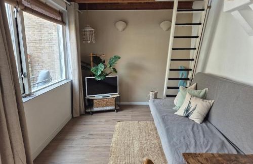 Noordwijk House | cottage near the beach in the center.*