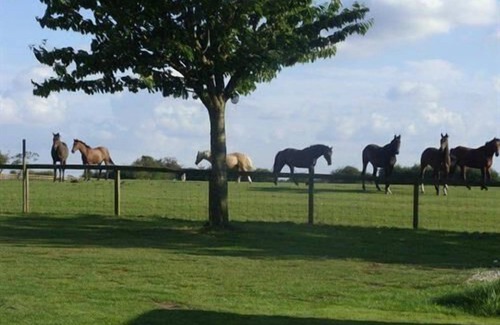 York Cottage | Cottage Private Bathroom at Skipbridge Farm Cottages