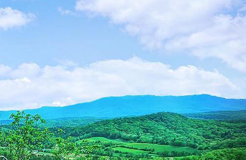 Gatlinburg - Pigeon Forge House | Country Bear Cottage by Venture Smoky Mountains