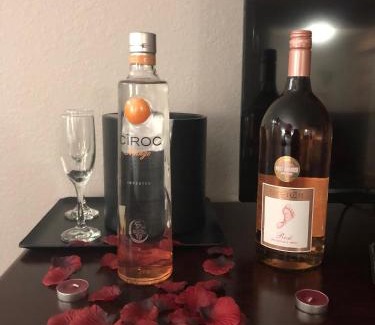 Bearss Plaza Hotel | Country Inn & Suites by Radisson, Tampa Airport North, FL