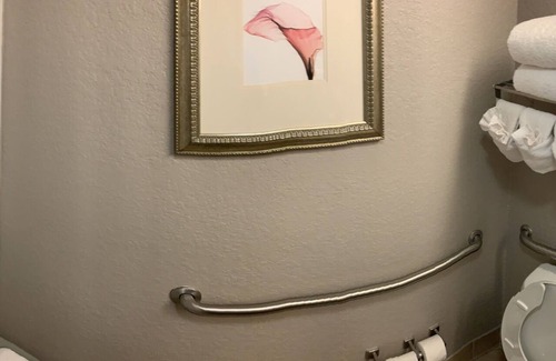 Jacksonville Hotel | Country Inn & Suites by Radisson, Jacksonville West, FL