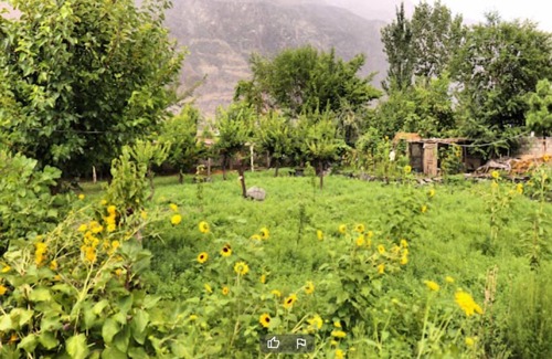 Gilgit Hotel | Countryside Resort Gilgit