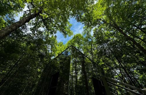 Balsam Grove House | Couples Mirror Cabin -Looking Glass at Valley Bear Farms Resort