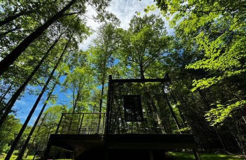 Balsam Grove House | Couples Mirror Cabin -Looking Glass at Valley Bear Farms Resort