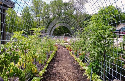 Balsam Grove Other | Couples Yurt - The Dreamer at Valley Bear Farms Resort
