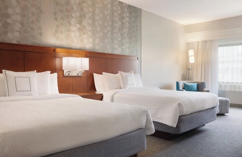 Paw Creek Hotel | Courtyard by Marriott Charlotte Airport North