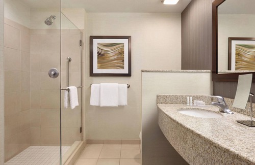 Paw Creek Hotel | Courtyard by Marriott Charlotte Airport North
