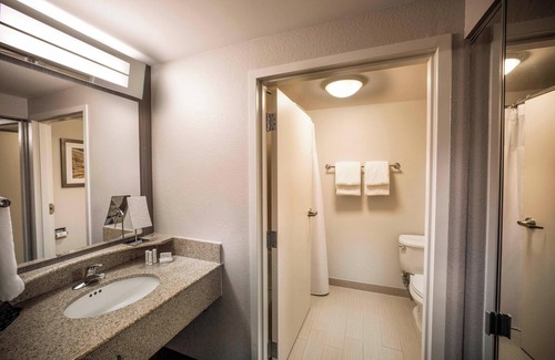 Downtown Hotel | Courtyard by Marriott Norfolk Downtown