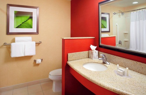 Oldsmar Hotel | Courtyard by Marriott Tampa Oldsmar