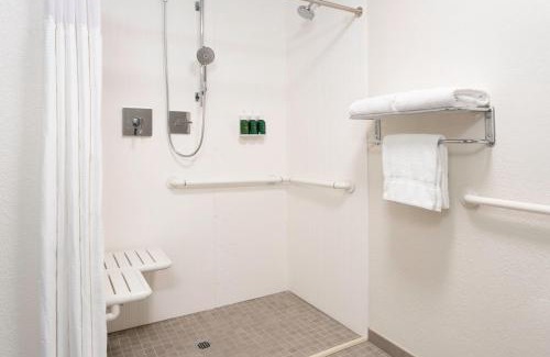 Clearwater Hotel | Courtyard St. Petersburg Clearwater