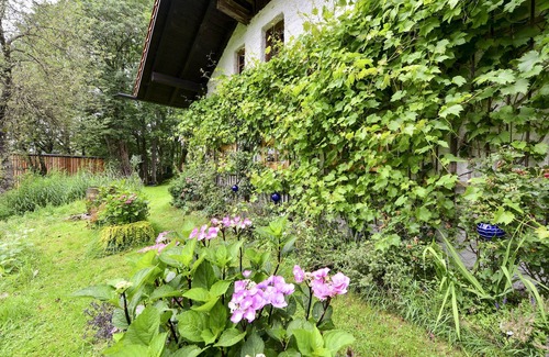 Neureichenau Apartment | Courtyard studio Menacher treasure cave - 25 sqm studio on the ground floor with terrace