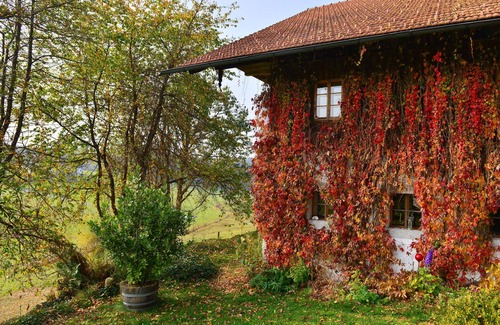 Neureichenau Apartment | Courtyard studio Menacher treasure cave - 25 sqm studio on the ground floor with terrace