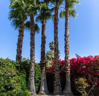 Araby House | Covered Patio, Pool and Games Home in Palm Springs