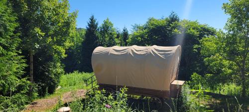 Lenoir Other | Covered Wagons Hill Camp - WAGON 4