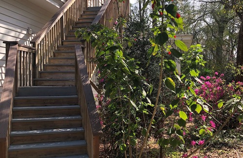 Tallahassee Apartment | Cozy 1-bedroom apartment. Perfect for FSU parent visits!