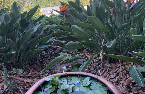 Palolo House | Cozy 3BD, 2BA fully furnished with beautiful mountain views.