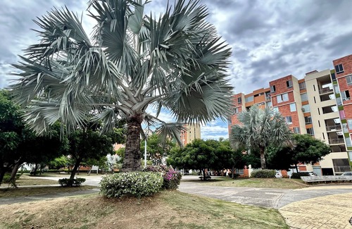 San Jose de Cucuta Apartment | Cozy apartment with 3 apartments