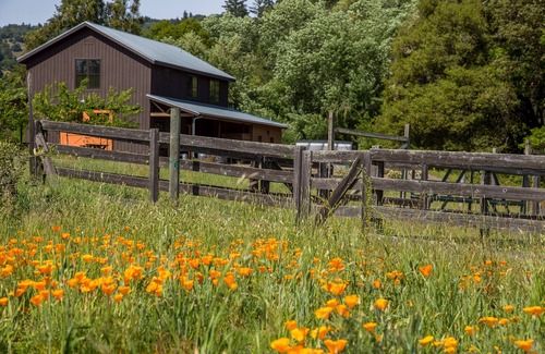 Ukiah House | Cozy Barn at Whispertree Retreat; Rustic Luxury
