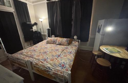 Crosstown Hotel | Cozy Bears Bunkers Manor & Carpe Diem Spa