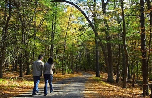 Hyde Park House | Cozy Boston 2bd Apt in a quiet neighborhood walking distance to the T