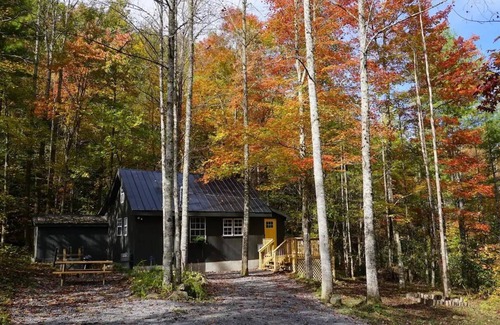 Del Rio Cabin | Cozy cabin in the Cherokee National Forest.