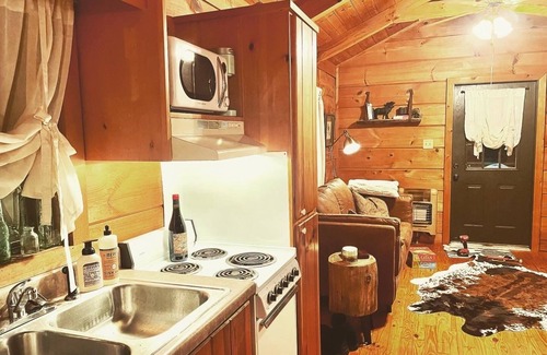 Enoree Cabin | Cozy cabin in the woods! Pets welcome!