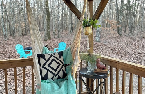 Enoree Cabin | Cozy cabin in the woods! Pets welcome!