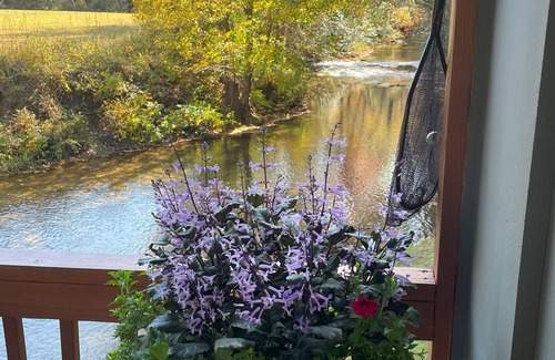 Ellijay Cabin | Cozy cabin with riverfront location, fire pit and peaceful surroundings