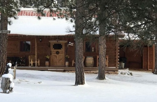 Angel Fire Cabin | Cozy Cabin with StunningMountainViews near Resort