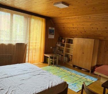 Cicmany Ski Chalet | Cozy cottage in the heart of Čičmany