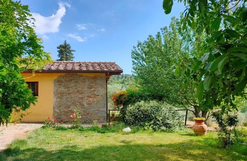 Neri Cottage | Cozy cottage with large pool among olive trees on the Chianti hillside