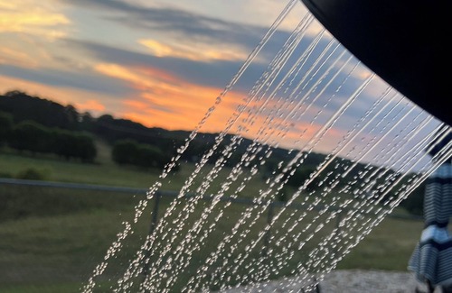 Tunnel Hill House | Cozy cottage with pool, hot tub, WiFi, & AC on a peaceful farm in Tunnel Hill