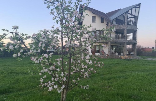 Singeorgiu de Mures Villa | Cozy Home near Baile Sarate