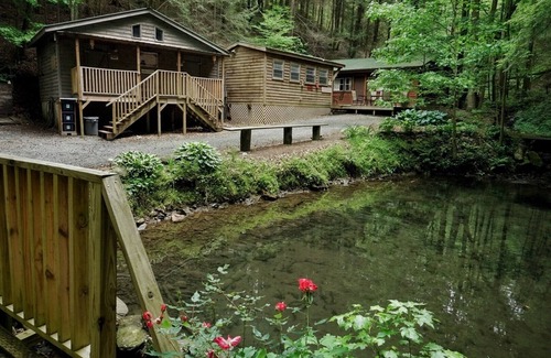 Ellijay Cabin | Cozy KOI COVE with AC and WiFi at magical Mulberry Gap!
