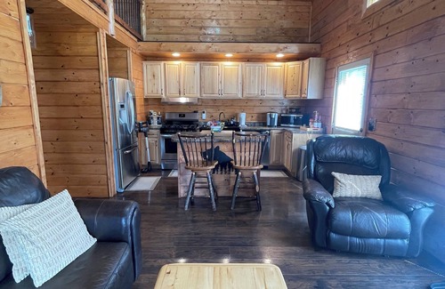 Dandridge Cabin | Cozy LAKE cabin. Near Douglas Lake in East TN! Sleeps 5! Hot Tub. Fireplace.
