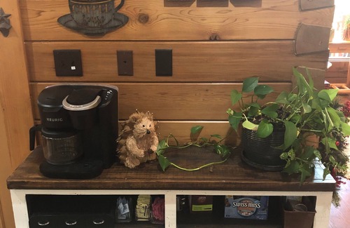 Council Cabin | Cozy lakefront log cabin retreat with pier and kayaks