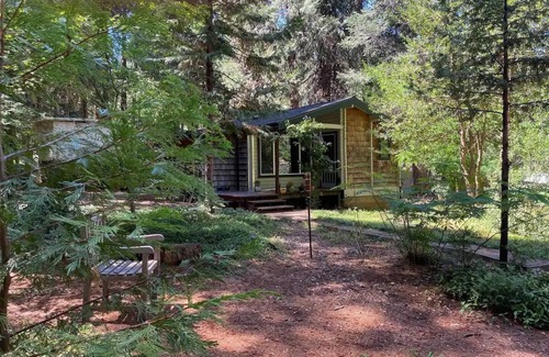 Nevada City Cabin | Cozy log cabin in the woodsnn