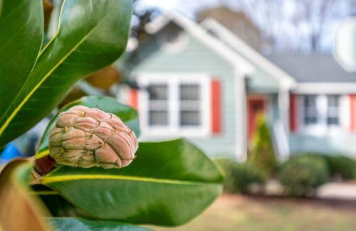 Raleigh House | Cozy Pet friendly home-Raleigh