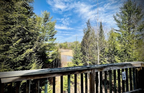 Lakewood Cabin | Cozy, spacious cabin. Great for fishing & snowmobiling!