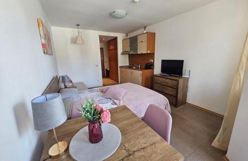 Borovets Apartment | Cozy studio 125 in Villa Park