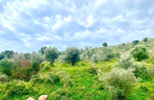 Benajarafe Apartment | Cozy studio in benajarafe with chimney